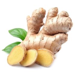 green ginger 1kg