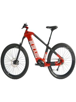 BLULANS S6 500W Electric Carbon Fiber Frame Bike