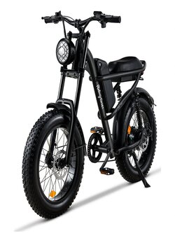 EU Directive] Ride Times Z8 Electric Bike 48V 15A500W 20*4.0 inch Fat Tire Electric Bike 90-120km Max Disc Brake Range