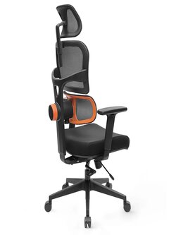 [Standard Version] NEWTRAL Ergonomic Office Chair High Back Office Chair with Adjustable Lumbar Support, Adjustable Backrest, Seat Depth, Tilt Function, and Headrest