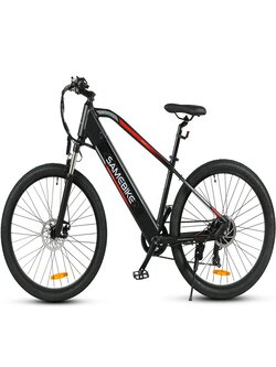 E-BIKE 