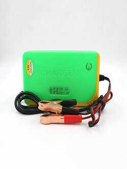 Motorcycle electric bike 20-60AH lead acid battery charger intelligent pulse charger Brand: BIKIGHT